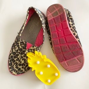 Toms leopard
